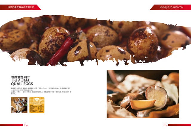 靖江市福芝鑫食品有限公司